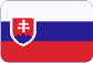 FC Finance-Consult Česká republika s.r.o. Slovensky